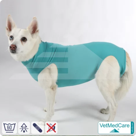 Hund OP Body - Hund Body Female | speziell für die Hündin | VetMedCare® 14 Hund OP Hundebody Female | speziell für die Hündin | VetMedCare®