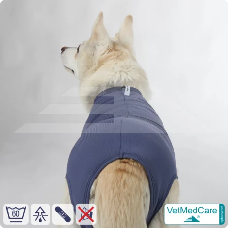 Hund OP Body - Hund Body Female | speziell für die Hündin | VetMedCare® 11 Hund OP Hundebody Female | speziell für die Hündin | VetMedCare®