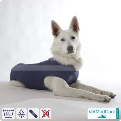 Hund OP Body - Hund Body Female | speziell für die Hündin | VetMedCare® 16 Hund OP Hundebody Female | speziell für die Hündin | VetMedCare®