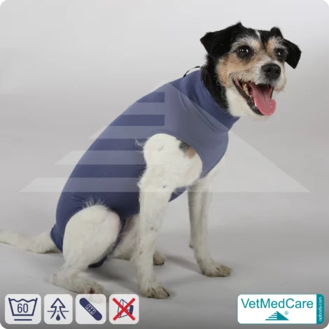 Hund OP Body - Hund Body Female | speziell für die Hündin | VetMedCare® 13 Hund OP Hundebody Female | Body speziell für die Hündin | VetMedCare®
