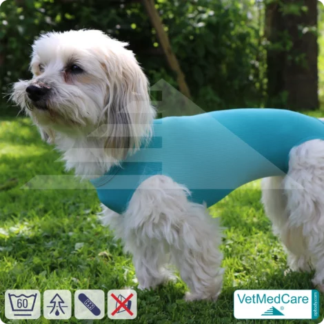 Hund OP Body - Hund Body Female | speziell für die Hündin | VetMedCare® 12 Hund OP Hundebody Female | Body speziell für die Hündin | VetMedCare®. Feedbild.