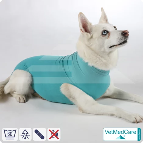 Hund OP Body - Hund Body Female | speziell für die Hündin | VetMedCare® 10 Hund OP Hundebody Female | speziell für die Hündin | VetMedCare®