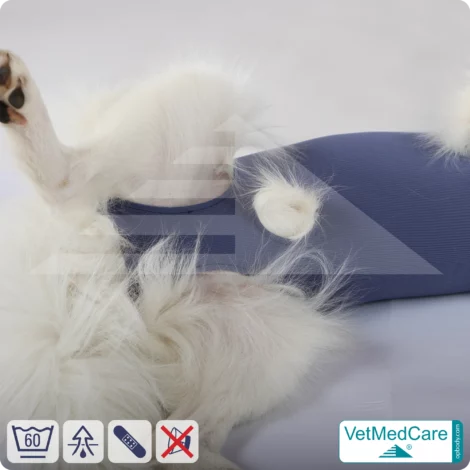Hund OP Hundebody Male | speziell für den Rüden | VetMedCare® 16 Hund OP Hundebody Male | speziell für den Rüden | VetMedCare®