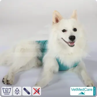 Hund OP Hundebody Male | speziell für den Rüden | VetMedCare® 17 Hund OP Hundebody Male | speziell für den Rüden | VetMedCare®