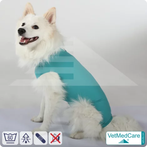 Hund OP Hundebody Male | speziell für den Rüden | VetMedCare® 12 Hund OP Hundebody Male | speziell für den Rüden | VetMedCare®