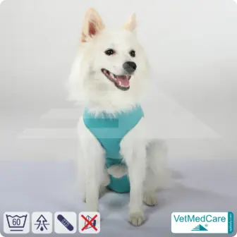 Hund OP Hundebody Male | speziell für den Rüden | VetMedCare® 15 Hund OP Hundebody Male | Body speziell für den Rüden | VetMedCare®