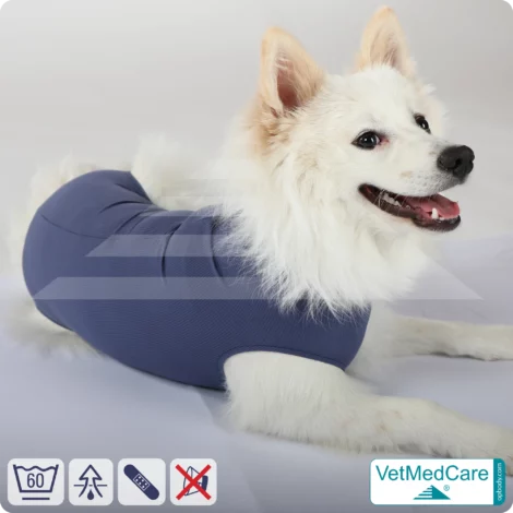 Hund OP Hundebody Male | speziell für den Rüden | VetMedCare® 11 Hund OP Hundebody Male | speziell für den Rüden | VetMedCare®