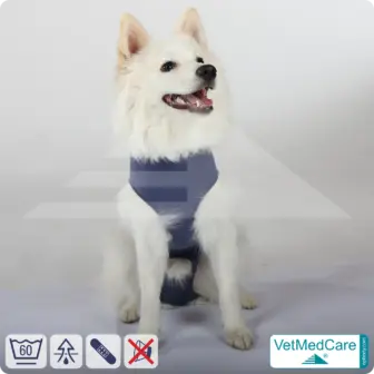 Hund OP Hundebody Male | speziell für den Rüden | VetMedCare® 14 Hund OP Hundebody Male | speziell für den Rüden | VetMedCare®