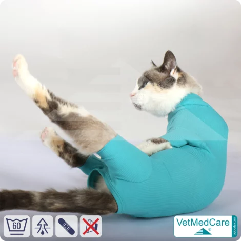 Katzenbody + Wundschutz speziell für Katzen entwickelt | VetMedCare® Cat Bodysuit 16 Katzenbody + Wundschutz speziell für Katzen entwickelt | VetMedCare® Cat Bodysuit