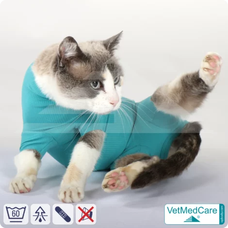 Katzenbody + Wundschutz speziell für Katzen entwickelt | VetMedCare® Cat Bodysuit 13 Katzenbody + Wundschutz speziell für Katzen entwickelt | VetMedCare® Cat Bodysuit
