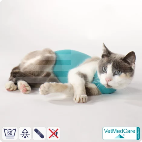 Katzenbody + Wundschutz speziell für Katzen entwickelt | VetMedCare® Cat Bodysuit 18 Katzenbody + Wundschutz speziell für Katzen entwickelt | VetMedCare® Cat Bodysuit