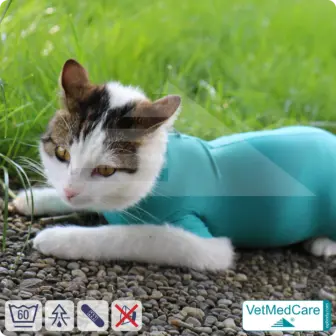 Katzenbody + Wundschutz speziell für Katzen entwickelt | VetMedCare® Cat Bodysuit 20 Katzenbody + Wundschutz speziell für Katzen entwickelt | VetMedCare® Cat Bodysuit