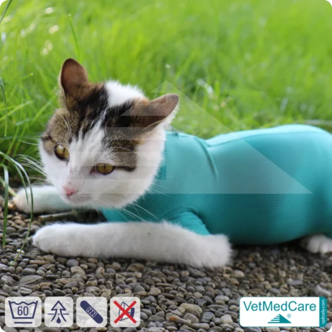 Katzenbody + Wundschutz speziell für Katzen entwickelt | VetMedCare® Cat Bodysuit 20 Katzenbody + Wundschutz speziell für Katzen entwickelt | VetMedCare® Cat Bodysuit
