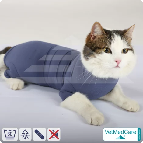 Katzenbody + Wundschutz speziell für Katzen entwickelt | VetMedCare® Cat Bodysuit 17 Katzenbody + Wundschutz speziell für Katzen entwickelt | VetMedCare® Cat Bodysuit
