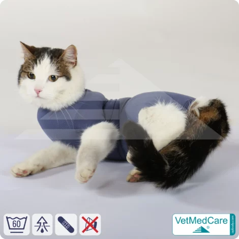 Katzenbody + Wundschutz speziell für Katzen entwickelt | VetMedCare® Cat Bodysuit 15 Katzenbody + Wundschutz speziell für Katzen entwickelt | VetMedCare® Cat Bodysuit