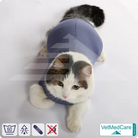 Katzenbody + Wundschutz speziell für Katzen entwickelt | VetMedCare® Cat Bodysuit 14 Katzenbody + Wundschutz speziell für Katzen entwickelt | VetMedCare® Cat Bodysuit