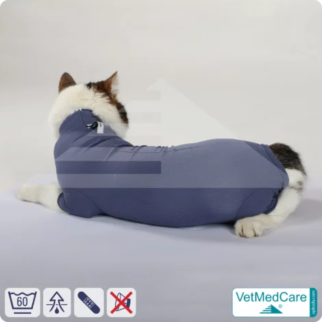 Katzenbody + Wundschutz speziell für Katzen entwickelt | VetMedCare® Cat Bodysuit 19 Katzenbody + Wundschutz speziell für Katzen entwickelt | VetMedCare® Cat Bodysuit