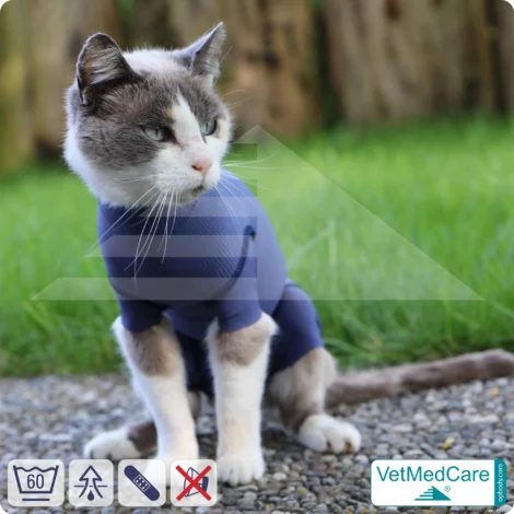 Katzenbody + Wundschutz speziell für Katzen entwickelt | VetMedCare® Cat Bodysuit 12 Katzenbody + Wundschutz speziell für Katzen entwickelt | VetMedCare® Cat Bodysuit