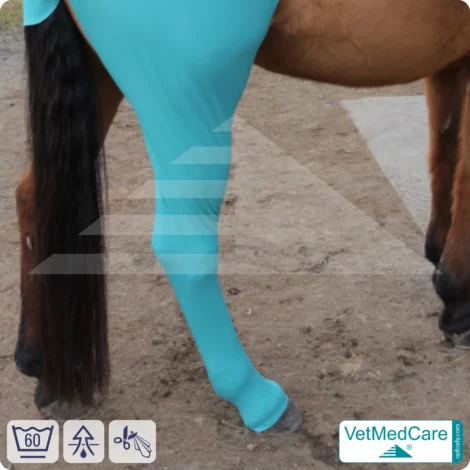 Pferde Wundschutz / Beinschutz für die Beine - Hinterlauf | links und rechts passend | VetMedCare® 8 Pferde Wundschutz / Beinschutz für die Beine - Hinterlauf | links und rechts passend | VetMedCare®