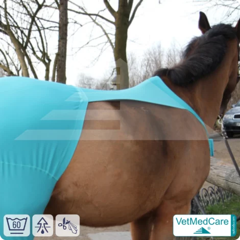 Pferde Wundschutz / Beinschutz für die Beine - Hinterlauf | links und rechts passend | VetMedCare® 9 Pferde Wundschutz / Beinschutz für die Beine - Hinterlauf | links und rechts passend | VetMedCare®