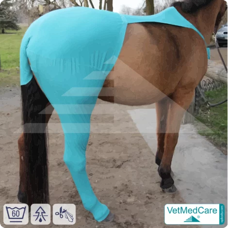 Pferde Wundschutz / Beinschutz für die Beine - Hinterlauf | links und rechts passend | VetMedCare® 2 Pferde Wundschutz / Beinschutz für die Beine - Hinterlauf | links und rechts passend | VetMedCare®