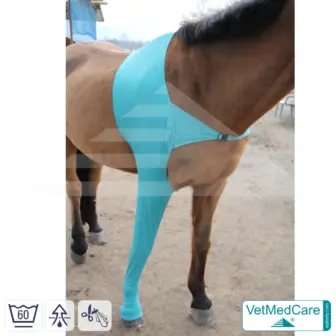 Pferde Wundschutz / Beinschutz für die Beine - Vorderlauf | links und rechts passend | VetMedCare® 8 Pferde Wundschutz / Beinschutz für die Beine - Vorderlauf | links und rechts passend | VetMedCare®