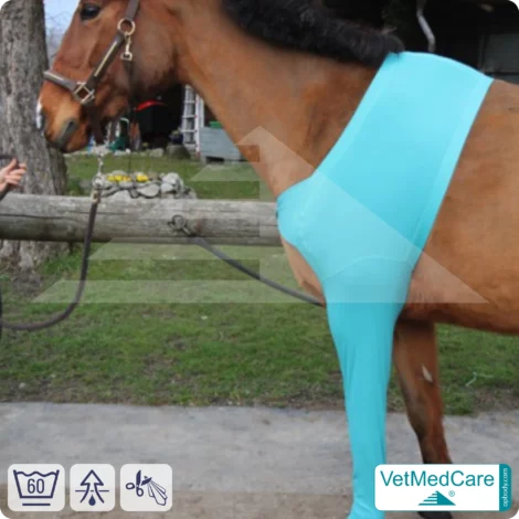 Pferde Wundschutz / Beinschutz für die Beine - Vorderlauf | links und rechts passend | VetMedCare® 9 Pferde Wundschutz / Beinschutz für die Beine - Vorderlauf | links und rechts passend | VetMedCare®