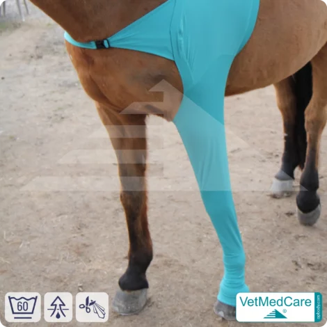Pferde Wundschutz / Beinschutz für die Beine - Vorderlauf | links und rechts passend | VetMedCare® 7 Pferde Wundschutz / Beinschutz für die Beine - Vorderlauf | links und rechts passend | VetMedCare®