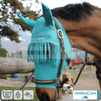 Pferd Fliegenschutz | Insektenschutz | Kopfschutz & Ohrenschutz mit Stirnfransen | VetMedCare® 1 Pferd Fliegenschutz | Insektenschutz | Kopfschutz & Ohrenschutz mit Stirnfransen | VetMedCare®