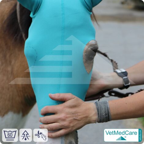 SPAR-SET: Pferde Kopfmaske mit anpassbarem Augenabstandshalter ohne Augenausschnitt | VetMedCare® 8 Pferde Kopfmaske | Schutz für Augen, Kopf und Ohren - ohne Augenausschnitt | Horse Head-Ear Protector | VetMedCare®