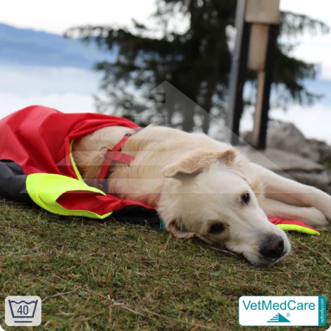Hunde Safety Bag mit extrem isolierender, integrierter Hundedecke | wie ein Hundebett mit Schutz vor Wind, Kälte und Nässe | VetMedCare® 13 Hunde Safety Bag mit extrem isolierender, integrierter Hundedecke | wie ein Hundebett mit Schutz vor Wind, Kälte und Nässe | VetMedCare®