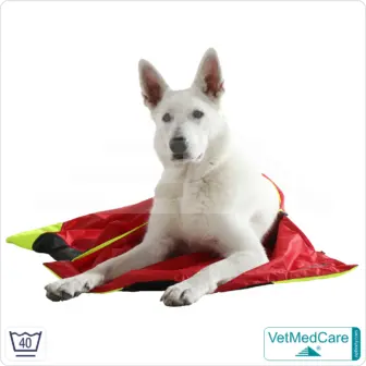 Hunde Safety Bag mit extrem isolierender, integrierter Hundedecke | wie ein Hundebett mit Schutz vor Wind, Kälte und Nässe | VetMedCare®