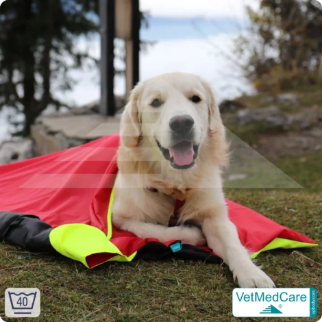 Hunde Safety Bag mit extrem isolierender, integrierter Hundedecke | wie ein Hundebett mit Schutz vor Wind, Kälte und Nässe | VetMedCare® 15 Hunde Safety Bag mit extrem isolierender, integrierter Hundedecke | wie ein Hundebett mit Schutz vor Wind, Kälte und Nässe | VetMedCare®