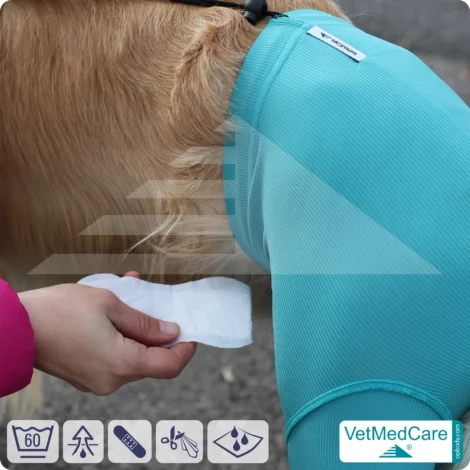 Hunde Sicherheitshosen / Hundewindeln | Dog Safety Pants bei Läufigkeit, Menstruation und Inkontinenz | VetMedCare® 15 Hunde Sicherheitshosen + Hundewindeln | Dog Safety Pants bei Läufigkeit, Menstruation und Inkontinenz | VetMedCare®