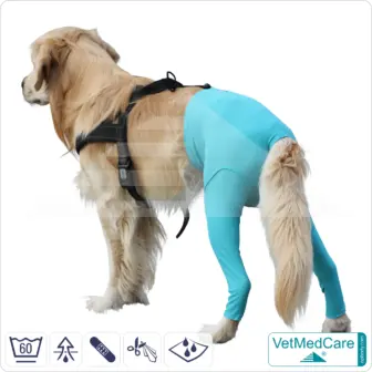 Wasser Spartipp: ecoturbino | 40% Wasser sparen beim Duschen | ca. € 110 pro Person und Jahr im Haushalt 16 Hunde Sicherheitshosen + Hundewindeln | Dog Safety Pants bei Läufigkeit, Menstruation und Inkontinenz | VetMedCare®