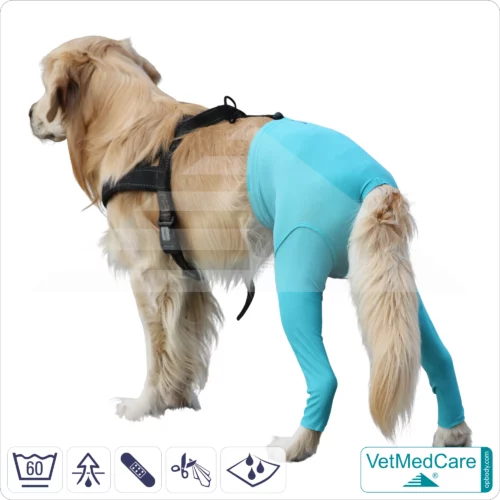 Hunde Sicherheitshosen / Hundewindeln | Dog Safety Pants bei Läufigkeit, Menstruation und Inkontinenz | VetMedCare®