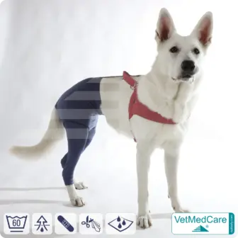 Hunde Sicherheitshosen / Hundewindeln | Dog Safety Pants bei Läufigkeit, Menstruation und Inkontinenz | VetMedCare® 13 Hunde Sicherheitshosen + Hundewindeln | Dog Safety Pants bei Läufigkeit, Menstruation und Inkontinenz | VetMedCare®