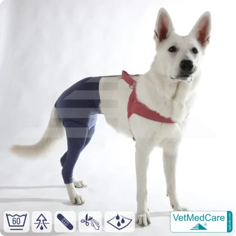 Hunde Sicherheitshosen / Hundewindeln | Dog Safety Pants bei Läufigkeit, Menstruation und Inkontinenz | VetMedCare® 13 Hunde Sicherheitshosen + Hundewindeln | Dog Safety Pants bei Läufigkeit, Menstruation und Inkontinenz | VetMedCare®