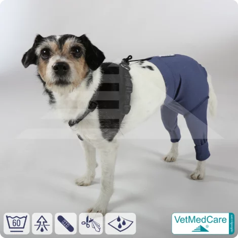 Hunde Sicherheitshosen / Hundewindeln | Dog Safety Pants bei Läufigkeit, Menstruation und Inkontinenz | VetMedCare® 20 Hunde Sicherheitshosen + Hundewindeln | Dog Safety Pants bei Läufigkeit, Menstruation und Inkontinenz | VetMedCare®