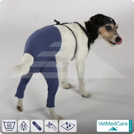 Hunde Sicherheitshosen / Hundewindeln | Dog Safety Pants bei Läufigkeit, Menstruation und Inkontinenz | VetMedCare® 14 Hunde Sicherheitshosen + Hundewindeln | Dog Safety Pants bei Läufigkeit, Menstruation und Inkontinenz | VetMedCare®