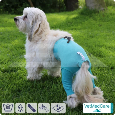 Hunde Sicherheitshosen / Hundewindeln | Dog Safety Pants bei Läufigkeit, Menstruation und Inkontinenz | VetMedCare® 18 Hunde Sicherheitshosen + Hundewindeln | Dog Safety Pants bei Läufigkeit, Menstruation und Inkontinenz | VetMedCare®