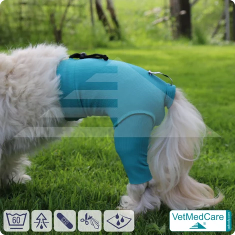 Hunde Sicherheitshosen / Hundewindeln | Dog Safety Pants bei Läufigkeit, Menstruation und Inkontinenz | VetMedCare® 19 Hunde Sicherheitshosen + Hundewindeln | Dog Safety Pants bei Läufigkeit, Menstruation und Inkontinenz | VetMedCare®