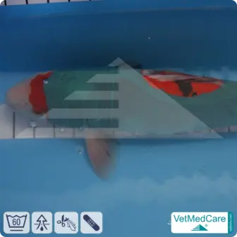 SPAR-SET: Safety Tubes DIY | wie Mullbinde, Verband und Pflaster in einem | Schutz Strümpfe für Haustiere wie Hamster, Hase und Kleintiere | VetMedCare® 20 DIY Safety Tubes | wie Mullbinden, Verband und Pflaster in einem | Schutz Strümpfe für Haustiere wie Hamster, Hase und Kleintiere | VetMedCare®