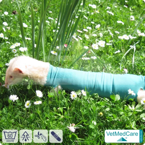 SPAR-SET: Safety Tubes DIY | wie Mullbinde, Verband und Pflaster in einem | Schutz Strümpfe für Haustiere wie Hamster, Hase und Kleintiere | VetMedCare® 19 DIY Safety Tubes | wie Mullbinden, Verband und Pflaster in einem | Schutz Strümpfe für Haustiere wie Hamster, Hase und Kleintiere | VetMedCare®