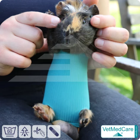SPAR-SET: Safety Tubes DIY | wie Mullbinde, Verband und Pflaster in einem | Schutz Strümpfe für Haustiere wie Hamster, Hase und Kleintiere | VetMedCare® 16 DIY Safety Tubes | wie Mullbinden, Verband und Pflaster in einem | Schutz Strümpfe für Haustiere wie Hamster, Hase und Kleintiere | VetMedCare®