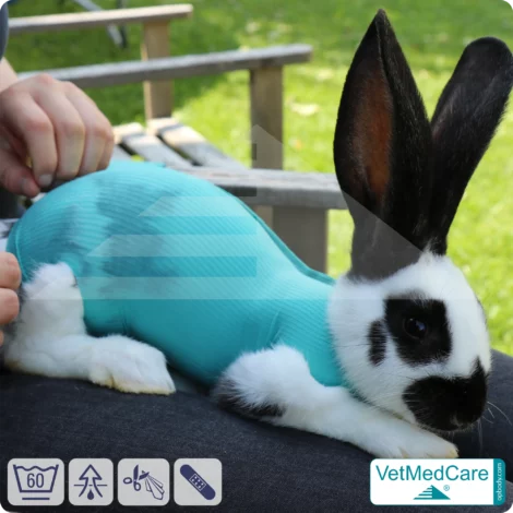 Safety Tubes DIY | wie Mullbinde, Verband und Pflaster in einem | Schutz Strümpfe für Haustiere wie Hamster, Hase und Kleintiere | VetMedCare® 1 DIY Safety Tubes | wie Mullbinden, Verband und Pflaster in einem | Schutz Strümpfe für Haustiere wie Hamster, Hase und Kleintiere | VetMedCare®