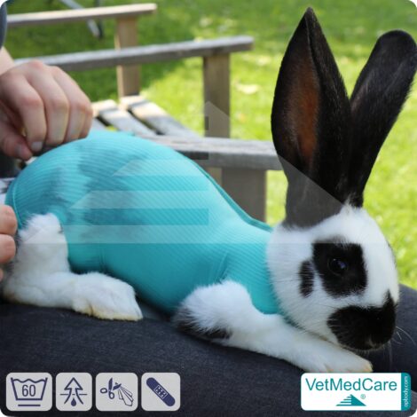 SPAR-SET: Safety Tubes DIY | wie Mullbinde, Verband und Pflaster in einem | Schutz Strümpfe für Haustiere wie Hamster, Hase und Kleintiere | VetMedCare® 13 DIY Safety Tubes | wie Mullbinden, Verband und Pflaster in einem | Schutz Strümpfe für Haustiere wie Hamster, Hase und Kleintiere | VetMedCare®
