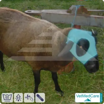 Safety Tubes DIY | wie Mullbinde, Verband und Pflaster in einem | Schutz Strümpfe für Haustiere wie Hamster, Hase und Kleintiere | VetMedCare® 18 DIY Safety Tubes | wie Mullbinden, Verband und Pflaster in einem | Schutz Strümpfe für Haustiere wie Hamster, Hase und Kleintiere | VetMedCare®