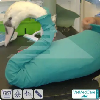 SPAR-SET: Safety Tubes DIY | wie Mullbinde, Verband und Pflaster in einem | Schutz Strümpfe für Haustiere wie Hamster, Hase und Kleintiere | VetMedCare® 18 DIY Safety Tubes | wie Mullbinden, Verband und Pflaster in einem | Schutz Strümpfe für Haustiere wie Hamster, Hase und Kleintiere | VetMedCare®