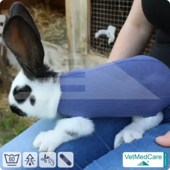 SPAR-SET: Safety Tubes DIY | wie Mullbinde, Verband und Pflaster in einem | Schutz Strümpfe für Haustiere wie Hamster, Hase und Kleintiere | VetMedCare® 15 Safety Tubes DIY | wie Mullbinde, Verband und Pflaster in einem | Schutz Strümpfe für Haustiere wie Hamster, Hase und Kleintiere | VetMedCare®